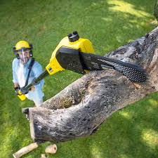 Lawn Pest Prevention in Crossville, AL